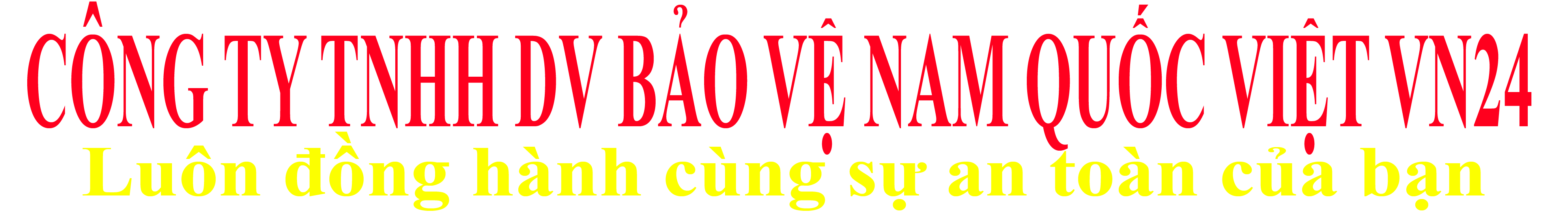 www.baovenamquocviet.com